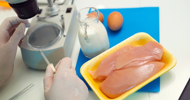 cách làm nền nuôi gà đá,Cách Làm Nền Nuôi Gà Đá Thứ Hai: Đảm Bảo Hiệu Quả Tối Ưu cách làm nền nuôi gà đá,Cách Làm Nền Nuôi Gà Đá Thứ Hai: Đảm Bảo Hiệu Quả Tối Ưu