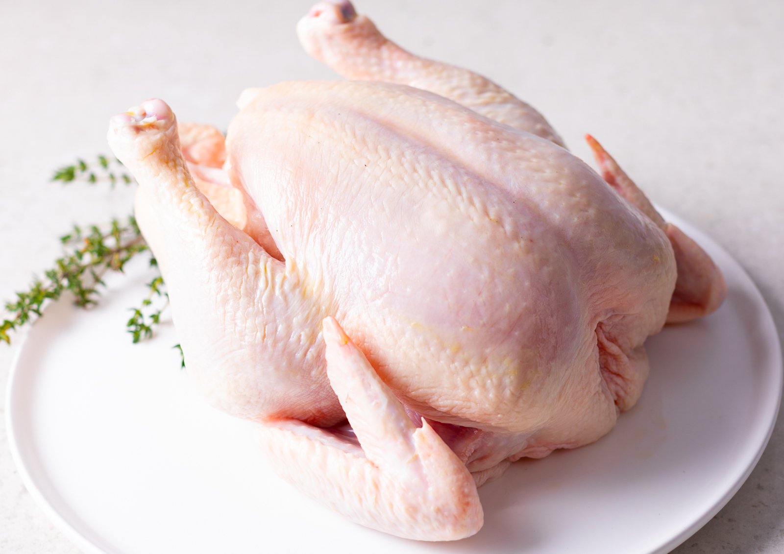 trực tiếp đá gà thomo hôm nay c2,Trực tiếp đá gà Thomo hôm nay C2: Thứ hai – Đặc điểm và phân tích chi tiết trực tiếp đá gà thomo hôm nay c2,Trực tiếp đá gà Thomo hôm nay C2: Thứ hai – Đặc điểm và phân tích chi tiết
