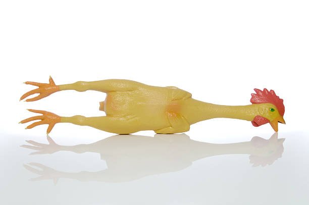 cách nuôi gà chuẩn bị đá,Cách Nuôi Gà Chuẩn Bị Đá Thứ Hai: Hướng Dẫn Chi Tiết cách nuôi gà chuẩn bị đá,Cách Nuôi Gà Chuẩn Bị Đá Thứ Hai: Hướng Dẫn Chi Tiết