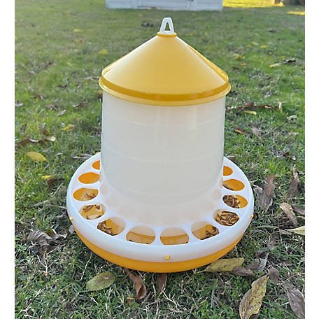 ứng dụng đá gà trực tuyến ứng dụng đá gà trực tuyến