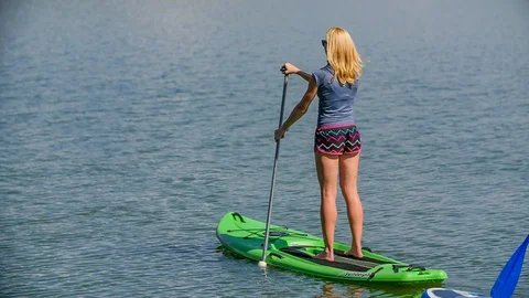 gà đá thomo gà danh,Giới Thiệu Bài Viết: Gà Đá – Đặc Điểm, Cách Chơi, và Kinh Nghiệm gà đá thomo gà danh,Giới Thiệu Bài Viết: Gà Đá – Đặc Điểm, Cách Chơi, và Kinh Nghiệm