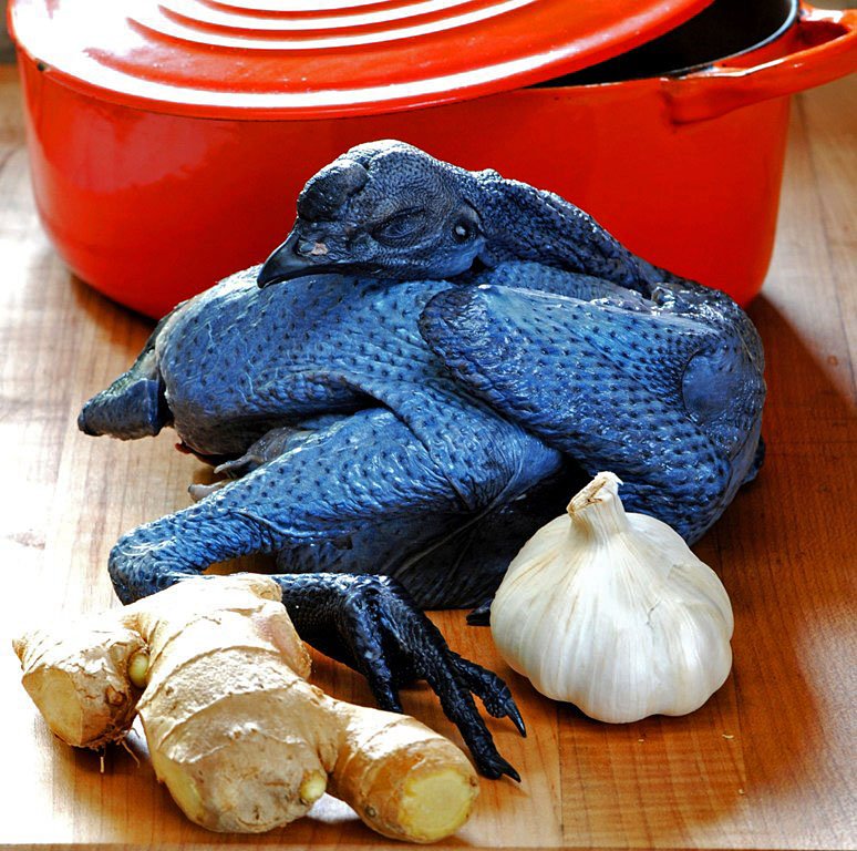 trực tiếp đá gà thomo hôm nay c2,Trực tiếp đá gà Thomo hôm nay C2: Thứ hai – Đặc điểm và phân tích chi tiết trực tiếp đá gà thomo hôm nay c2,Trực tiếp đá gà Thomo hôm nay C2: Thứ hai – Đặc điểm và phân tích chi tiết