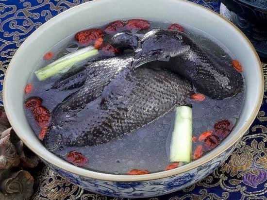đá gà trường vĩnh hội đông đá gà trường vĩnh hội đông