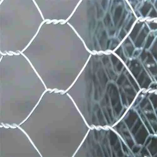 đá gà trực tuyến cựa dao,Đá gà trực tuyến cựa dao: Thứ hai, một cuộc chiến không chỉ là thể thao đá gà trực tuyến cựa dao,Đá gà trực tuyến cựa dao: Thứ hai, một cuộc chiến không chỉ là thể thao