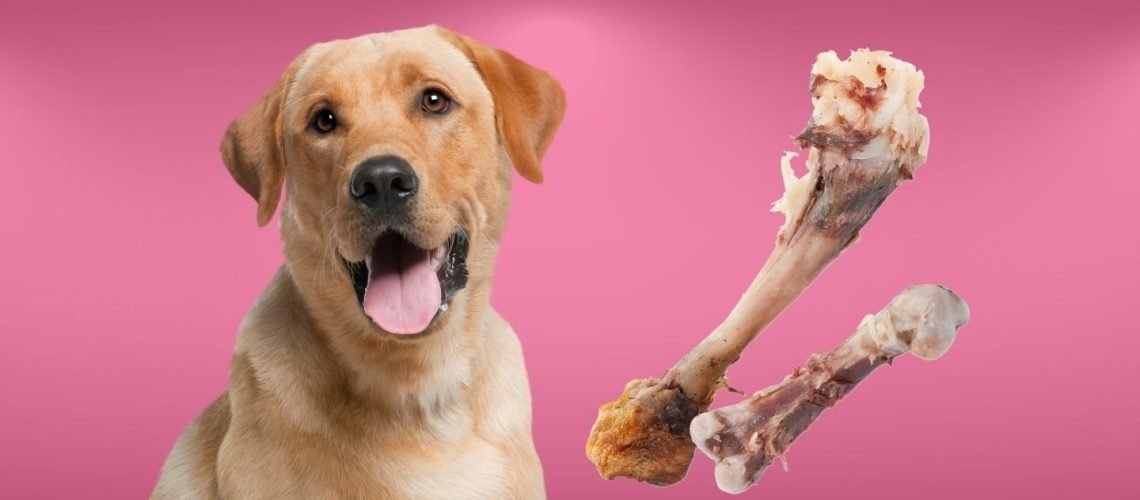 chuồng trại gà đá,Chuồng Trại Gà Đá: Địa Điểm Mơ ước của Người Chơi Đá chuồng trại gà đá,Chuồng Trại Gà Đá: Địa Điểm Mơ ước của Người Chơi Đá