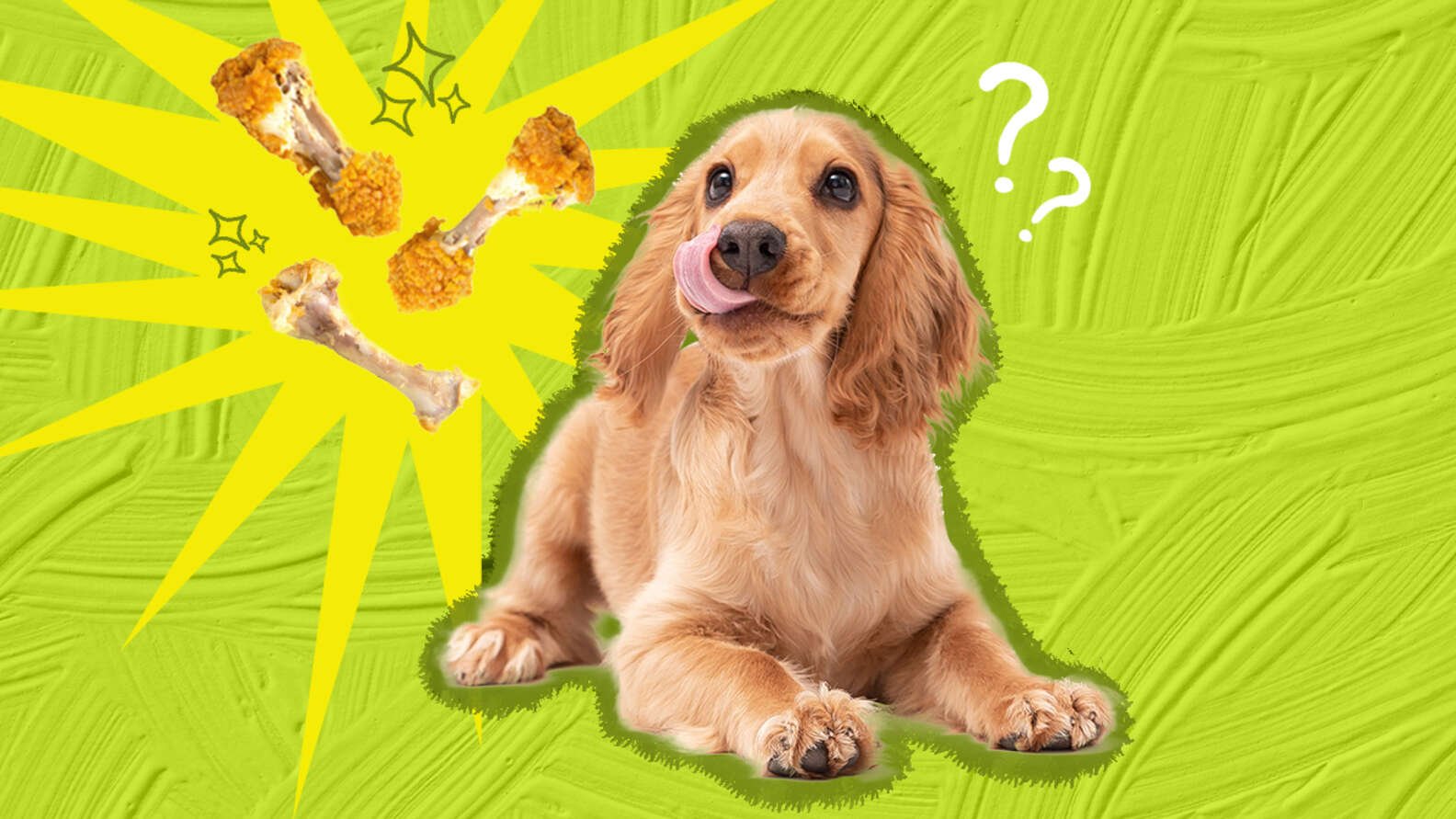 gà que trích đá thomo,Chú ý Tránh Xe! Cảnh Báo An Toàn Giao Thông Trong Tiếng Việt gà que trích đá thomo,Chú ý Tránh Xe! Cảnh Báo An Toàn Giao Thông Trong Tiếng Việt