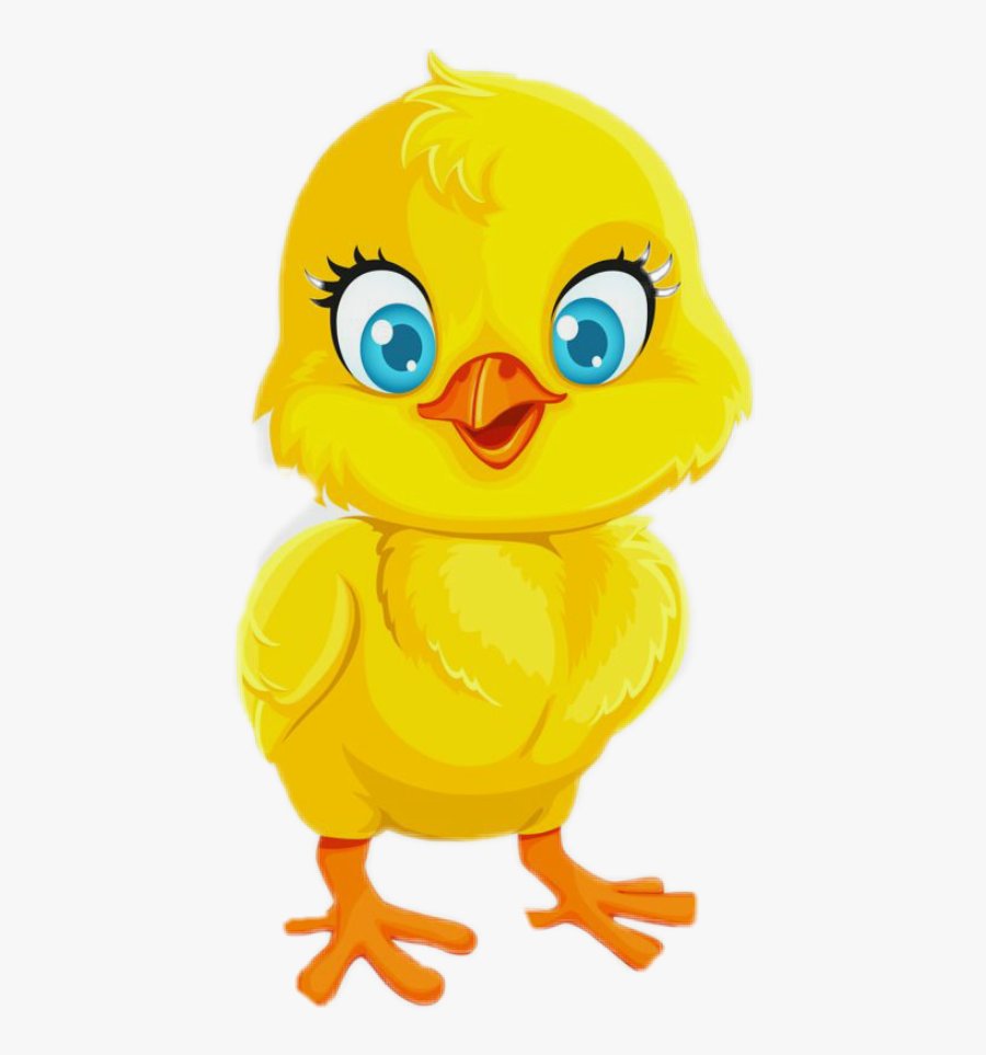 bắt đá gà phú yên bắt đá gà phú yên