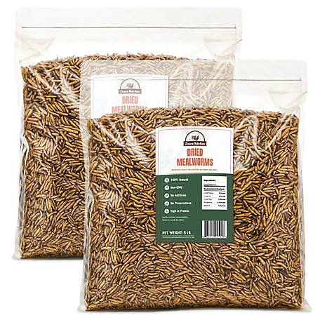 Chiến lược tăng trưởng kinh doanh trại nuôi gà chọi cựa sắt