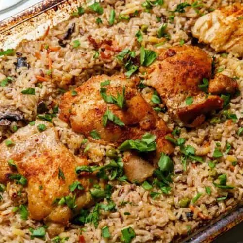 Khám phá gà tre bắc với kỹ năng đá vượt trội