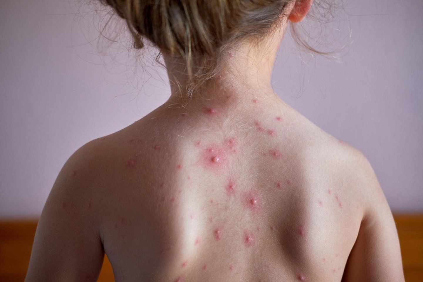 Trải nghiệm đá gà Mỹ: Những trận đấu kịch tính và hấp dẫn